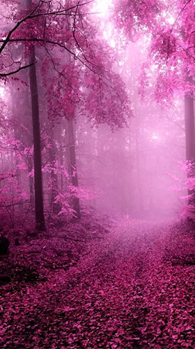 Pink forest