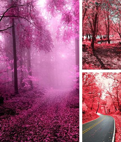 Pink forest - бесплатно скачать живые обои на Андроид телефон или планшет.