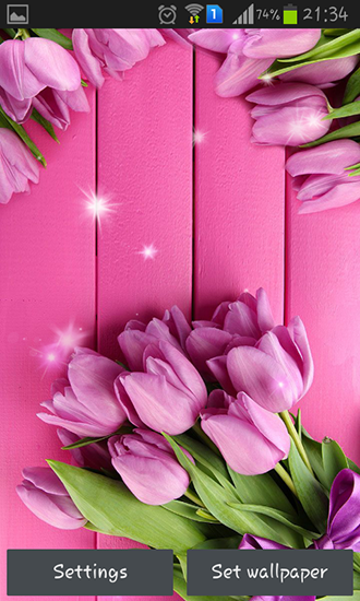 Pink tulips für Android spielen. Live Wallpaper Pinke Tulpen kostenloser Download.