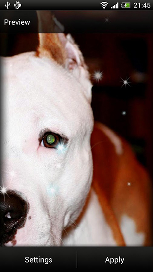 Screenshots of the Pitbull for Android tablet, phone.