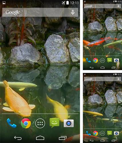 Kostenloses Android-Live Wallpaper Teich mit Koi. Vollversion der Android-apk-App Pond with koi by Karaso für Tablets und Telefone.