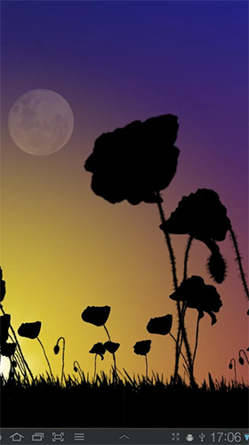 Poppy field live wallpaper for Android. Poppy field free download for  tablet and phone.