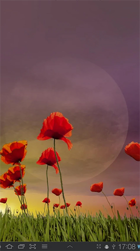Screenshots of the Poppy field for Android tablet, phone.
