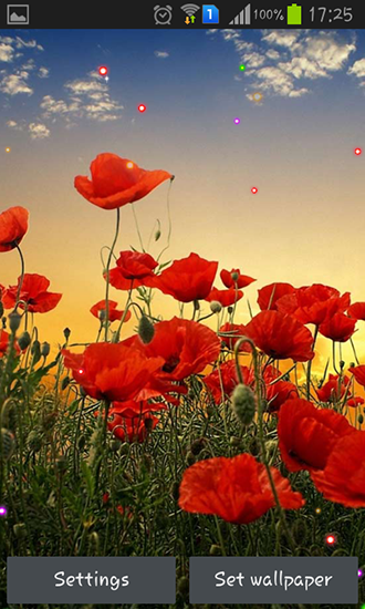 Screenshots of the Poppy fields for Android tablet, phone.
