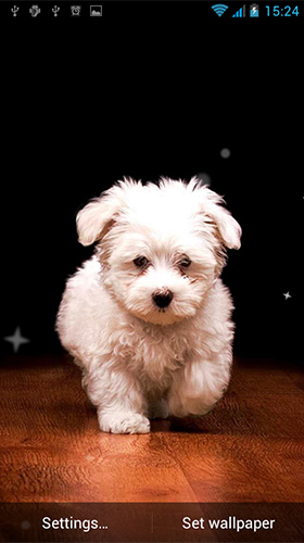 Screenshots of the Puppy by Best Live Wallpapers Free for Android tablet, phone.