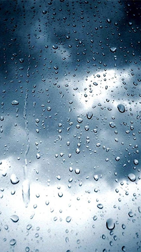 Rain drop by iim mobile live wallpaper for Android. Rain drop by iim mobile  free download for tablet and phone.