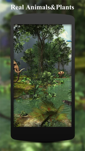 Rainforest 3D - безкоштовно скачати живі шпалери на Андроїд телефон або планшет.