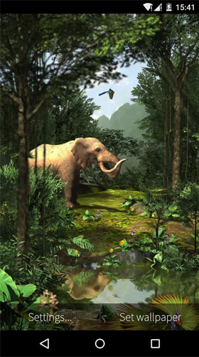 Screenshots of the Rainforest 3D for Android tablet, phone.