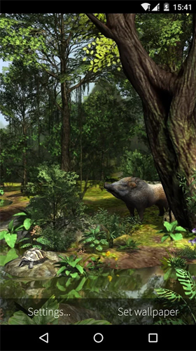 Як виглядають живі шпалери Rainforest 3D.