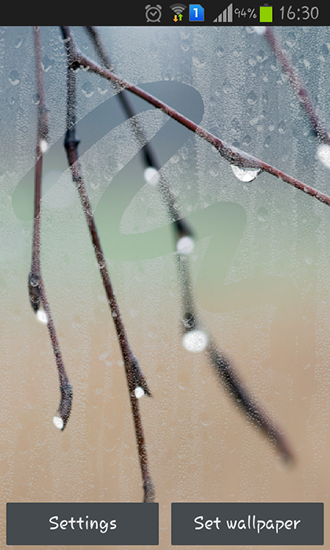 Rainy autumn - скачати безкоштовно живі шпалери для Андроїд на робочий стіл.