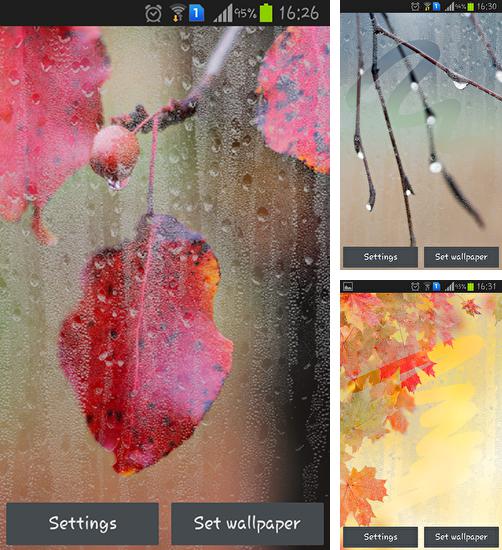 Kostenloses Android-Live Wallpaper Regnerischer Herbst. Vollversion der Android-apk-App Rainy autumn für Tablets und Telefone.