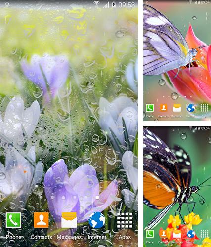 Rainy flowers - бесплатно скачать живые обои на Андроид телефон или планшет.