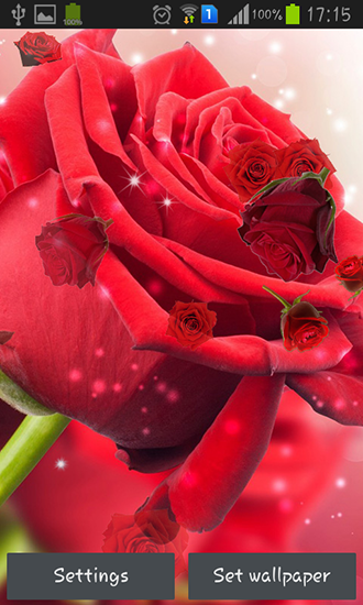 Red rose live wallpaper for Android. Red rose free download for tablet and  phone.