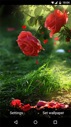 Download Red rose by DynamicArt Creator - livewallpaper for Android. Red rose by DynamicArt Creator apk - free download.