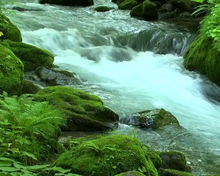 Screenshots of the River flow for Android tablet, phone.