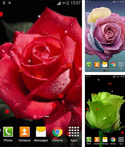 Rose 3D by Dream World HD Live Wallpapers - бесплатно скачать живые обои на Андроид телефон или планшет.