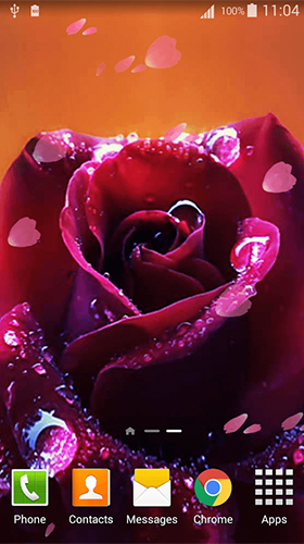 Kostenloses Android-Live Wallpaper Rose. Vollversion der Android-apk-App Rose 3D by Lux Live Wallpapers für Tablets und Telefone.