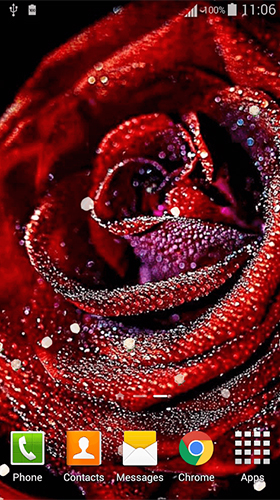 Як виглядають живі шпалери Rose 3D by Lux Live Wallpapers.