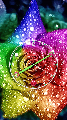 Rose: Analog clock für Android spielen. Live Wallpaper Rose: Analoguhr kostenloser Download.