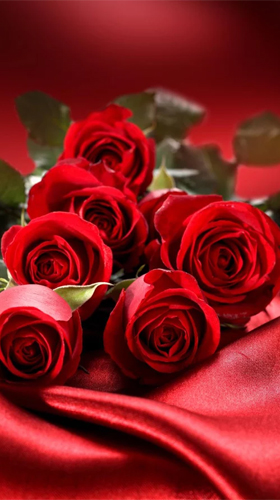 Rose By Creative Factory Wallpapers Fur Android Kostenlos Herunterladen Live Wallpaper Rosen Fur Android