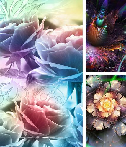 Download live wallpaper Rose by Live Wallpapers 3D for Android. Get full version of Android apk livewallpaper Rose by Live Wallpapers 3D for tablet and phone.