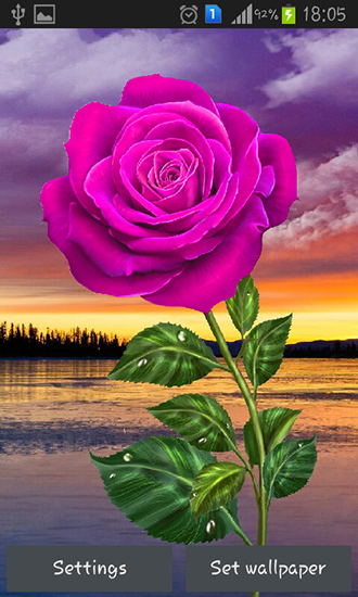 Download Rose: Magic touch - livewallpaper for Android. Rose: Magic touch apk - free download.