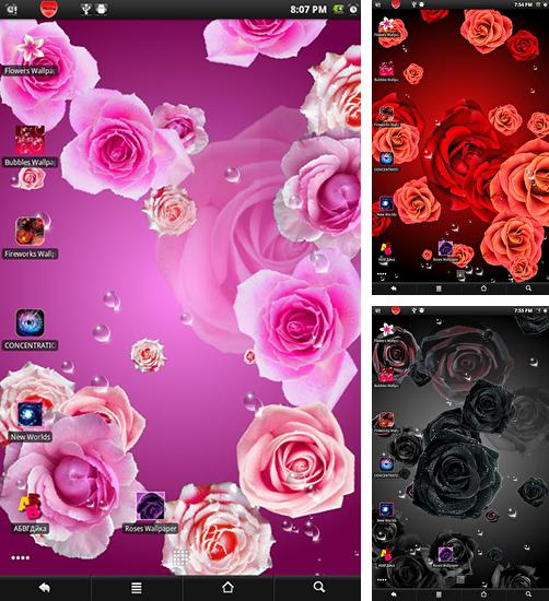 Download live wallpaper Roses 2 for Android. Get full version of Android apk livewallpaper Roses 2 for tablet and phone.