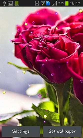 Як виглядають живі шпалери Roses and love.