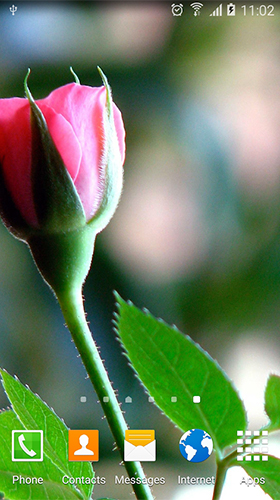 Téléchargement gratuit de Roses by Live Wallpapers 3D pour Android.