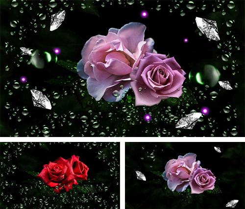 Roses diamond dew - бесплатно скачать живые обои на Андроид телефон или планшет.