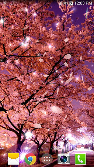 Download livewallpaper Sakura 3D for Android. Get full version of Android apk livewallpaper Sakura 3D for tablet and phone.