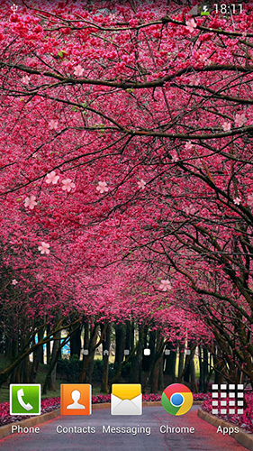 Download Sakura by orchid - livewallpaper for Android. Sakura by orchid apk - free download.