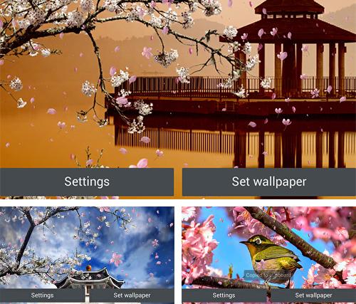 Kostenloses Android-Live Wallpaper Sakura Garten. Vollversion der Android-apk-App Sakura garden für Tablets und Telefone.
