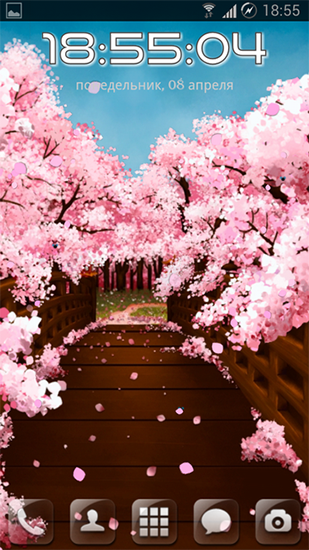 Sakura's bridge