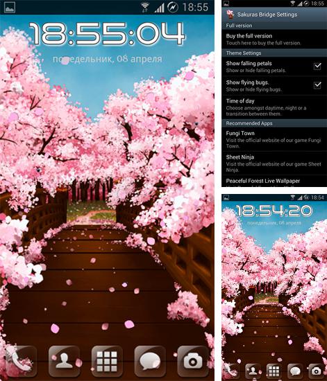 Sakura's bridge - бесплатно скачать живые обои на Андроид телефон или планшет.