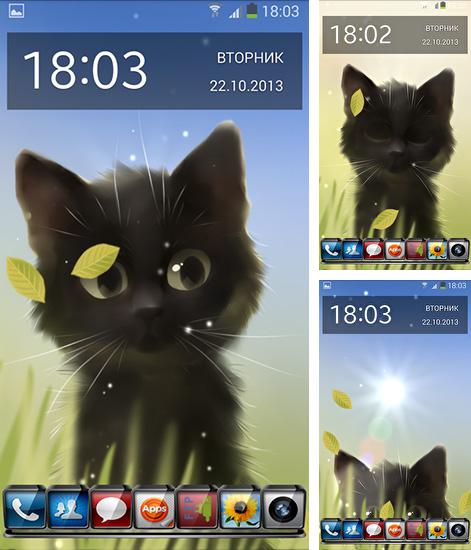 Descarga gratuita fondos de pantalla animados Gatito salvaje para Android. Consigue la versión completa de la aplicación apk de Savage kitten para tabletas y teléfonos Android.