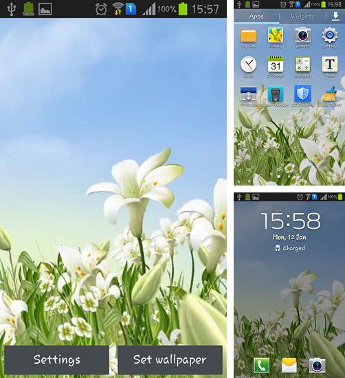 Además de fondo de pantalla animados Llas olas del mar para teléfonos y tabletas Android, también puedes descargarte gratis Sea lilies.