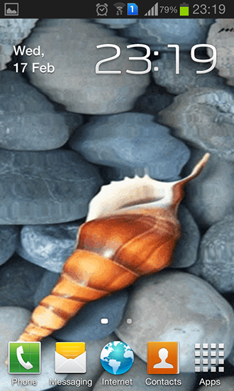 Seashell by Memory lane