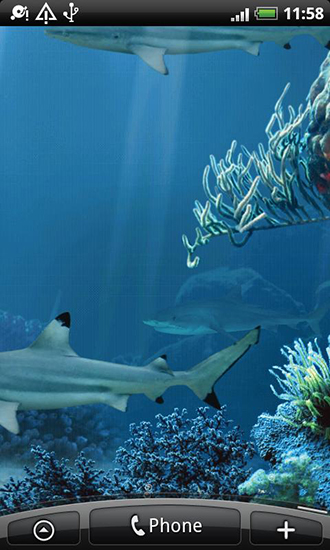Shark reef - бесплатно скачать живые обои на Андроид телефон или планшет.