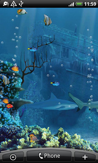 Papeis de parede animados Recife do tubarão para Android. Papeis de parede animados Shark reef para download gratuito.