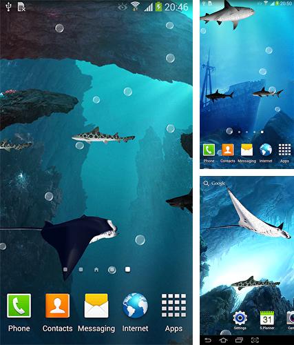 Sharks 3D by BlackBird Wallpapers - бесплатно скачать живые обои на Андроид телефон или планшет.