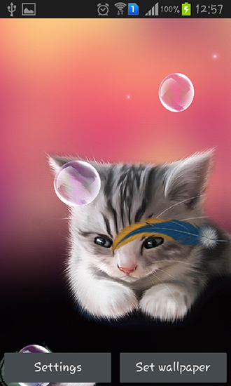 Kostenloses Android-Live Wallpaper Müdes Kätzchen. Vollversion der Android-apk-App Sleepy kitten für Tablets und Telefone.