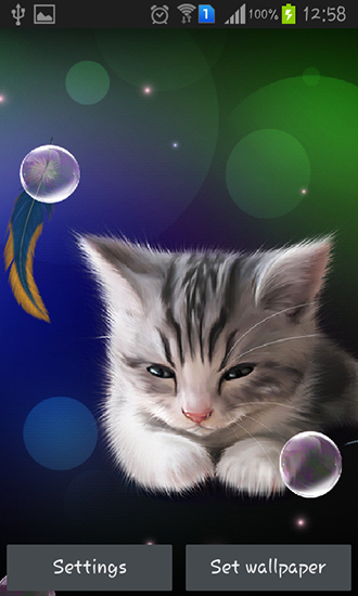 Écrans de Sleepy kitten pour tablette et téléphone Android.