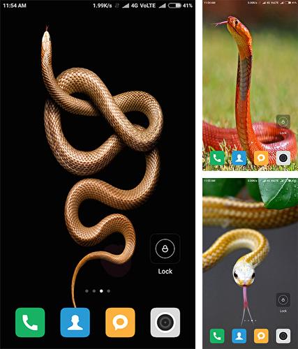 Kostenloses Android-Live Wallpaper Schlange HD. Vollversion der Android-apk-App Snake HD für Tablets und Telefone.