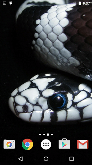 Screenshots of the Snakes by Fun live wallpapers for Android tablet, phone.