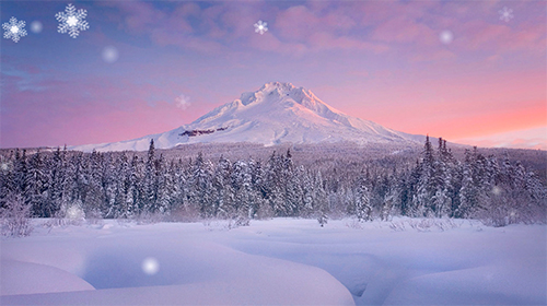 Télécharger le fond d'écran animé gratuit Saison d'hiver. Obtenir la version complète app apk Android Snow season pour tablette et téléphone.