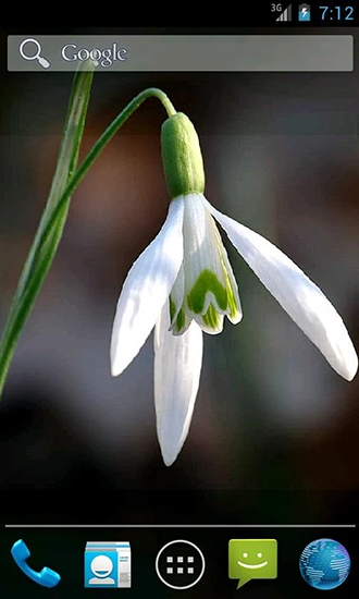 Screenshots of the Snowdrops by Wpstar for Android tablet, phone.