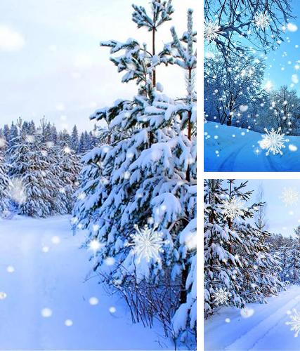 Kostenloses Android-Live Wallpaper Schneefall: Wald. Vollversion der Android-apk-App Snowfall: Forest für Tablets und Telefone.