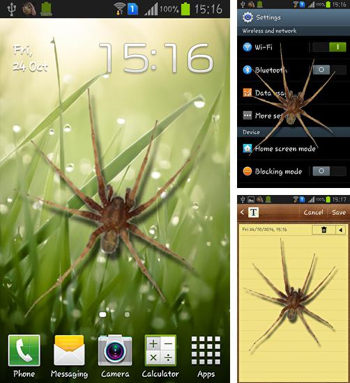 Spider in phone - бесплатно скачать живые обои на Андроид телефон или планшет.