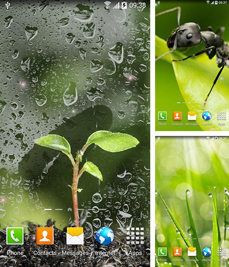 Zusätzlich zum Live Wallpaper Sonnenblumenuhr für Android Mobiltelefone und Tablets, können Sie auch Spring, Frühling kostenlos herunterladen.